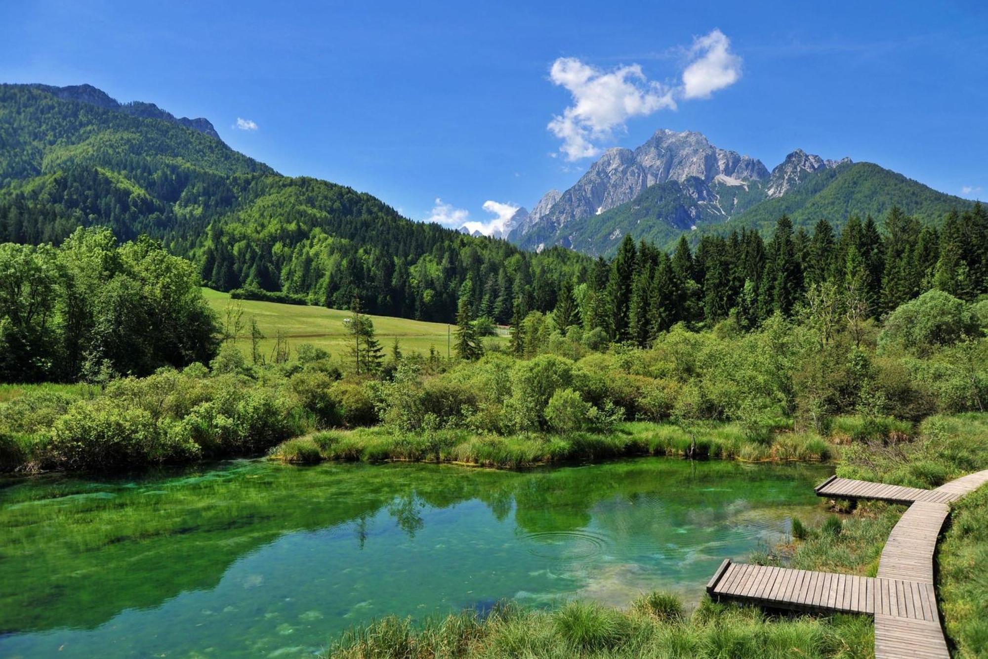 Alpine Retreat Gaja Kranjska Gora - Happy Rentals Экстерьер фото
